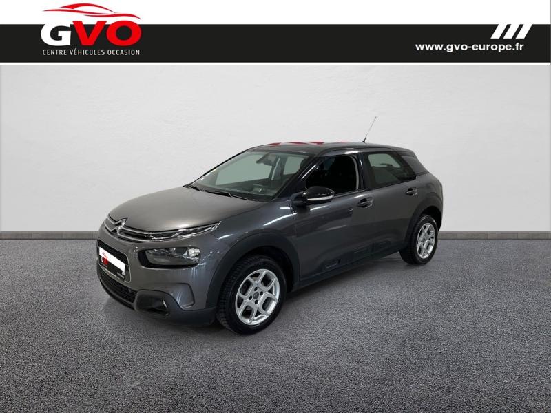 C4 Cactus_0