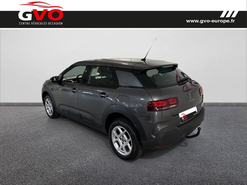 C4 Cactus_1