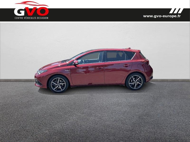 Auris_2