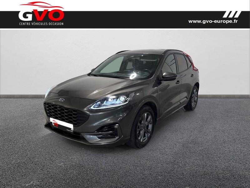 Kuga_0