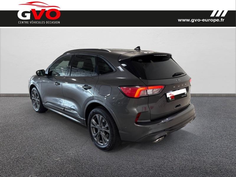 Kuga_1
