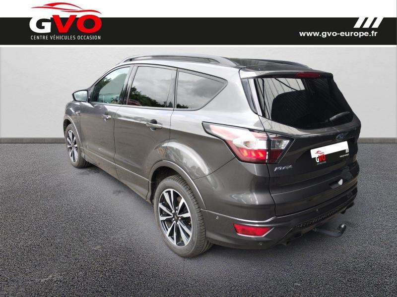 Kuga_1