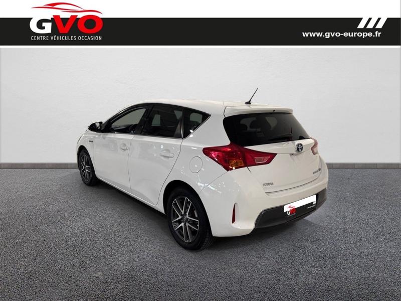 Auris_1