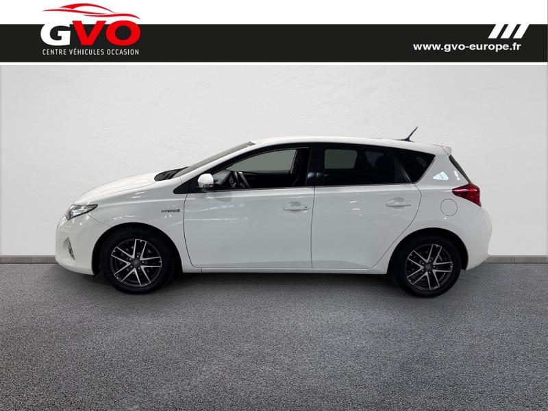 Auris_2