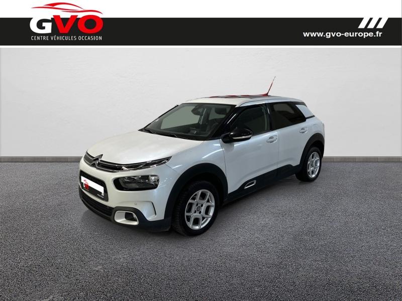 C4 Cactus_0