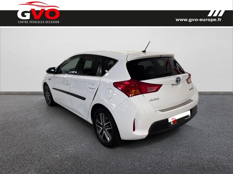 Auris_1