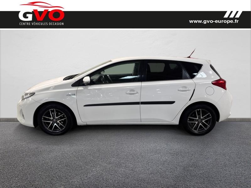 Auris_2