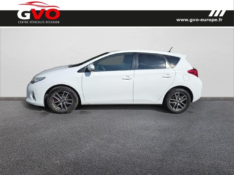 Auris_2