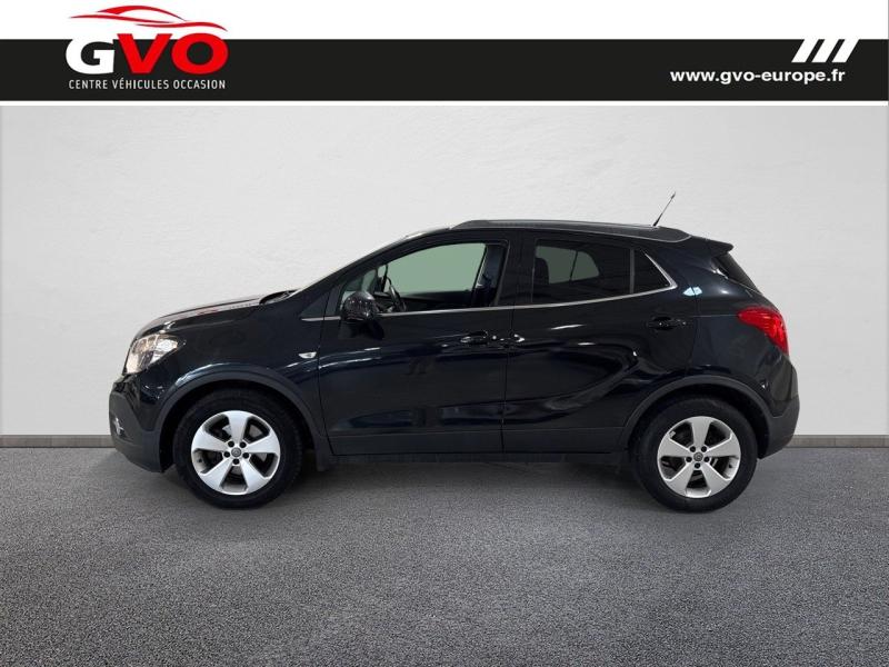 Mokka_2