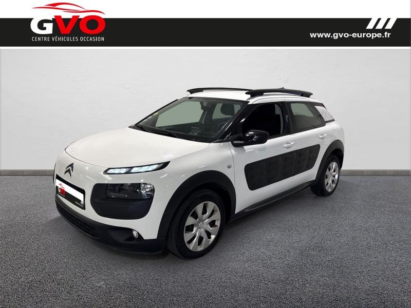 C4 Cactus_0