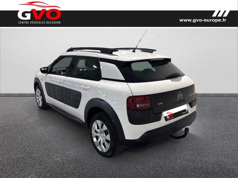 C4 Cactus_1