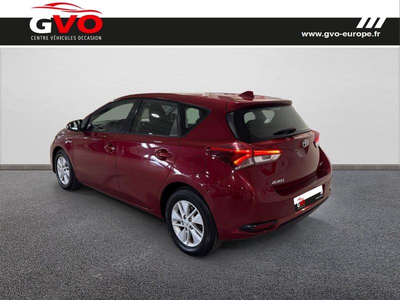 Auris_1