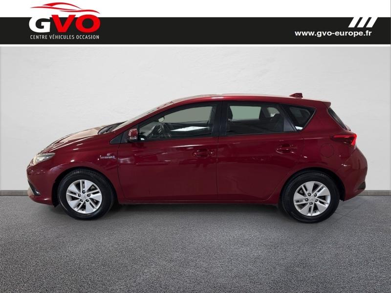 Auris_2
